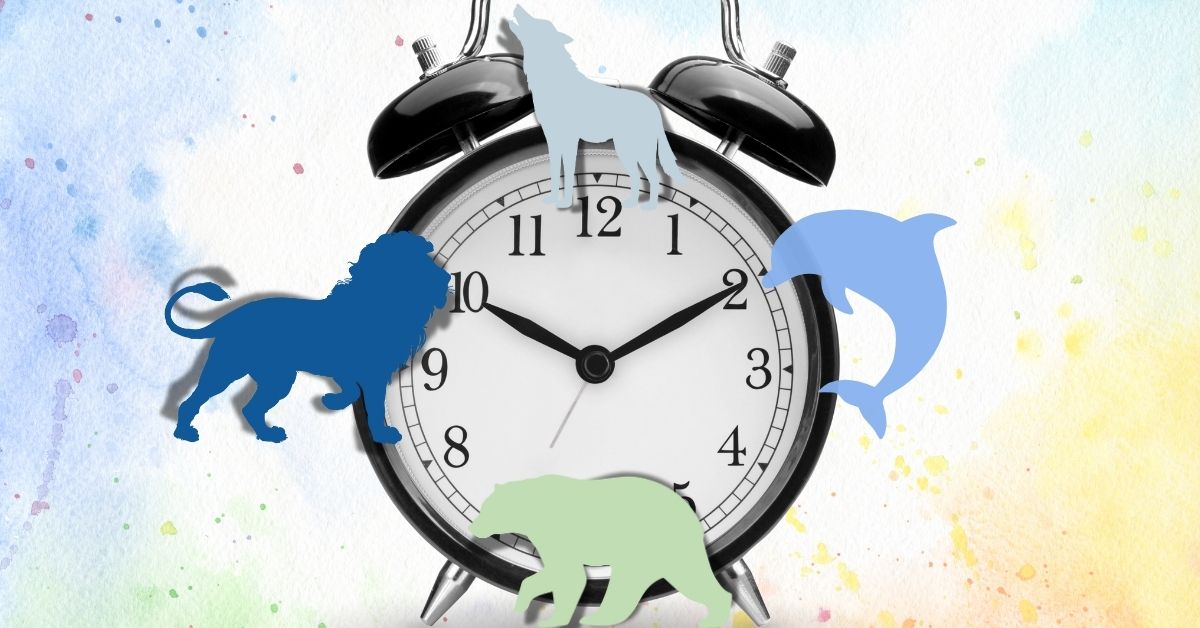 test cronotipo